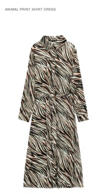 brown zebra print shirt dress Scarlette Brown Maxi Dress main image 0