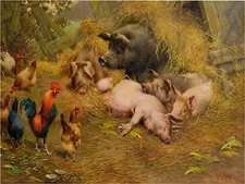 My Ladys at Home Farm Accent Tile Mural Kitchen Bathroom Wall Backsplash Ceramic