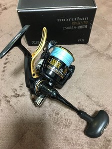 Daiwa Morethan Branzino | eBay