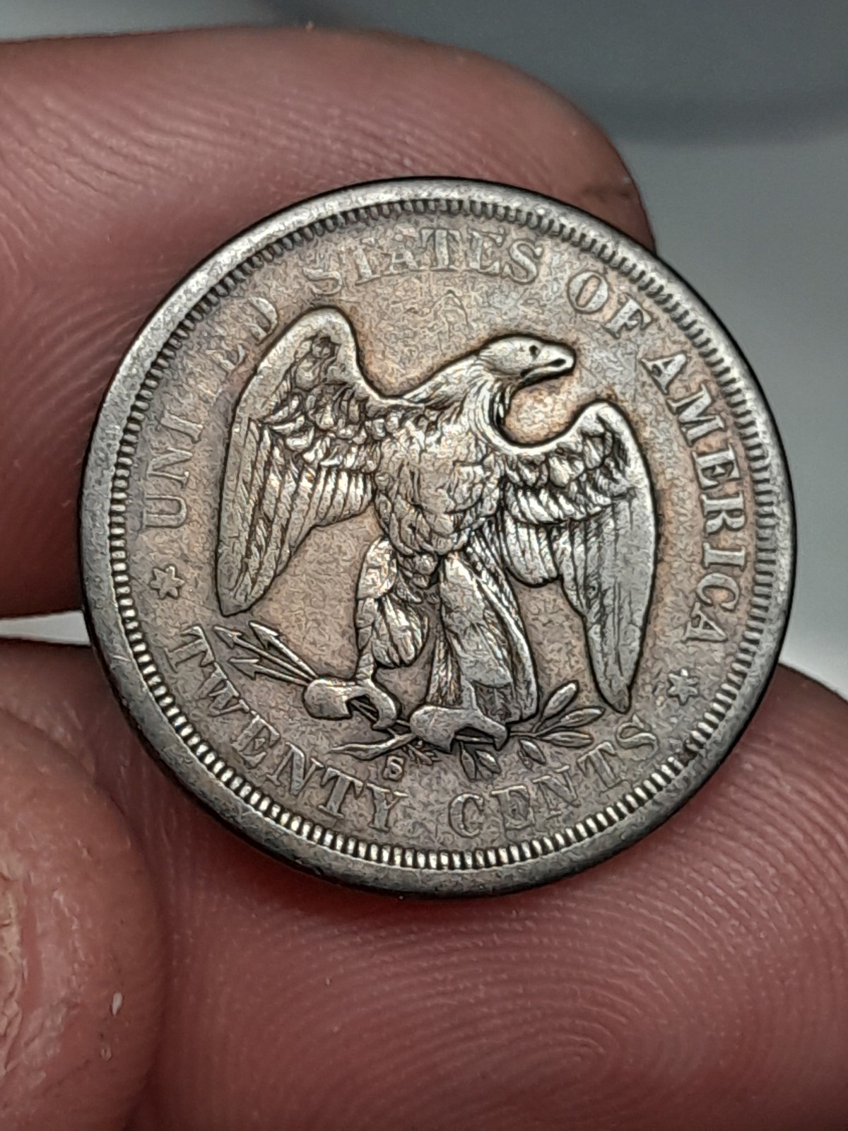 Picture 6 of 6