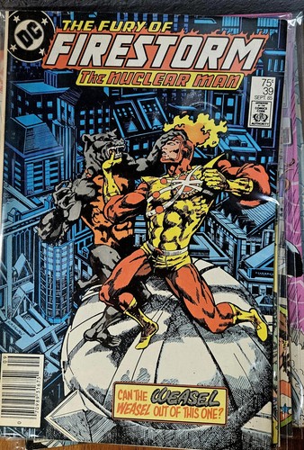 Lote de cómics The Fury Of FIRESTORM The Nuclear Man DC # 38 39 41 42 43 73 77 - Imagen 4 de 9