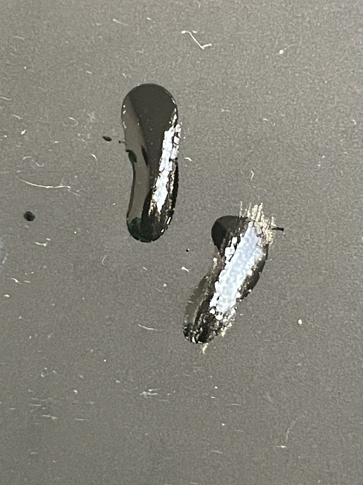 Signed 925 Silver Sand Dollar Dangle Pierced Earr… - image 6