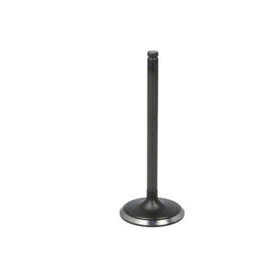   DNJ INTAKE VALVE IV1130 NEU DE STOCK