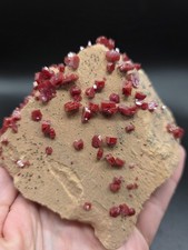 Minerale VANADINITE ROSSA - Marocco 