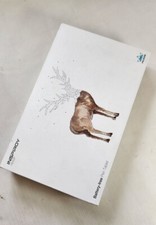 Huion Inspiroy H640P Graphics Drawing Tablet