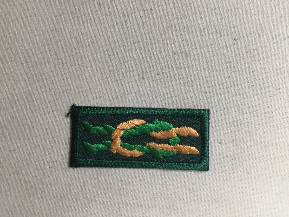 Explorer Scout In Collectible Boy Scout Insignia Patches for sale