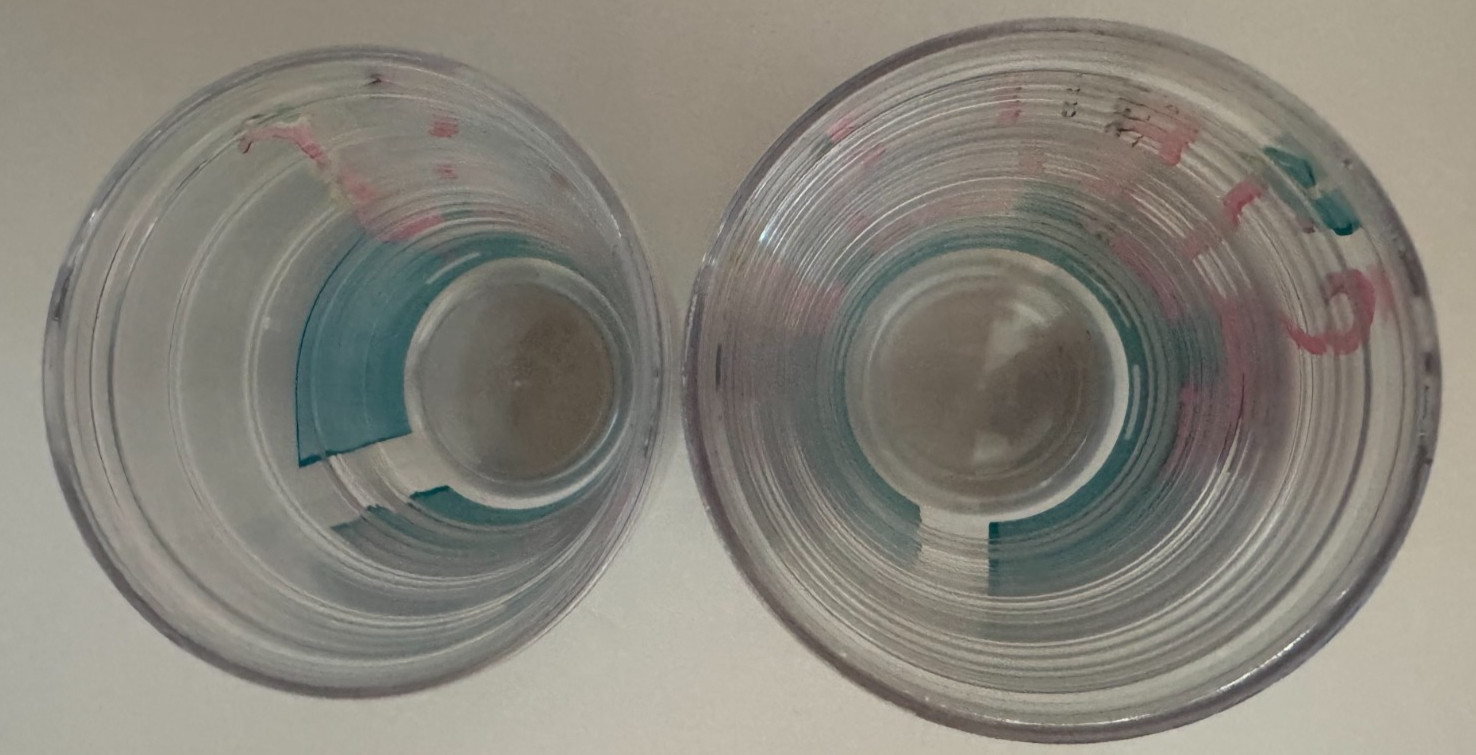 NEW 2 Boston Warehouse Plastic Double Walled Tumblers 16ozs Flamingo Ladies