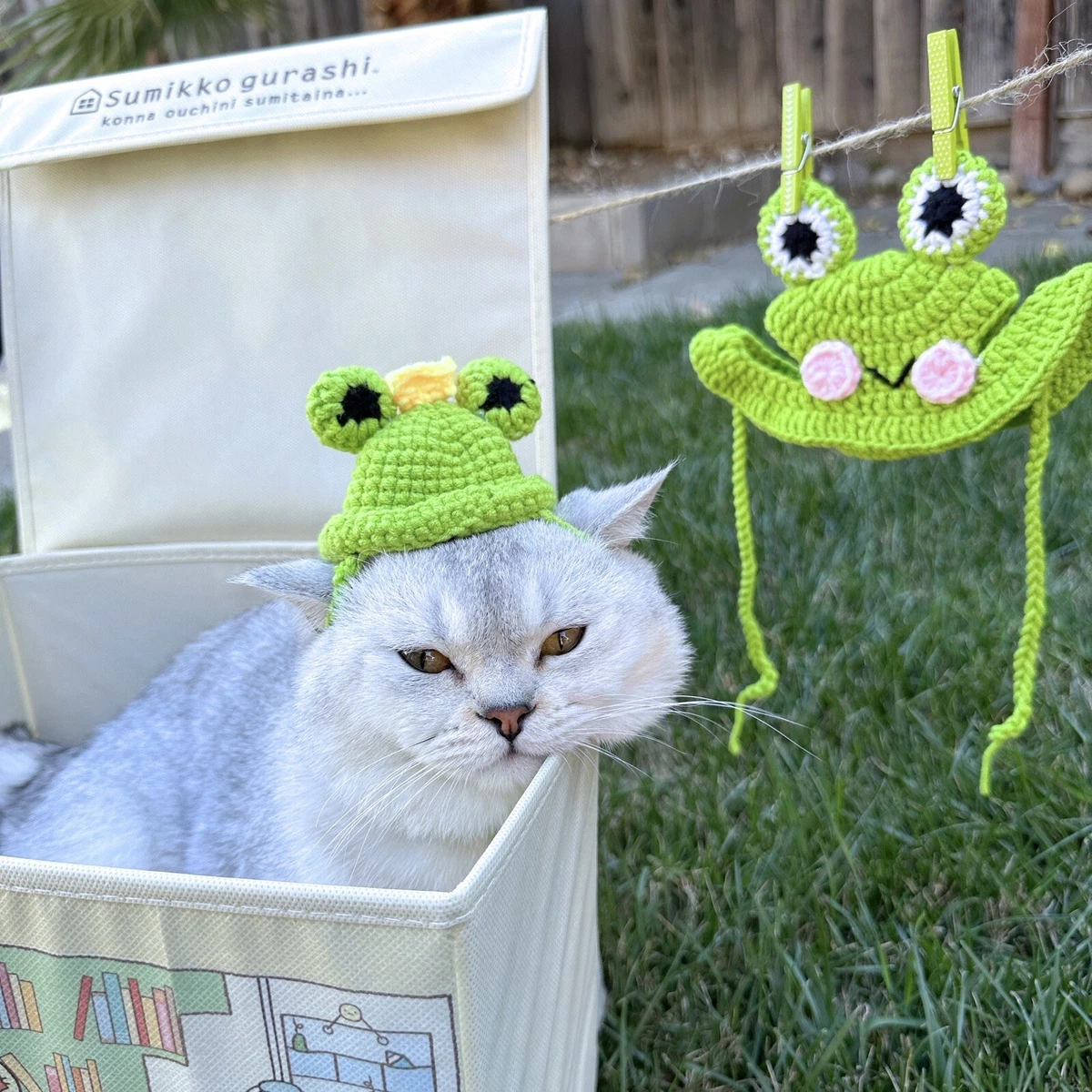 small froggie crochet hats for cats and small dogs/ knit cat hat