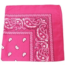2 Pack Extra Large Unisex Paisley Cotton Bandanas Handkerchief Headband