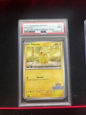 Pikachu Illustration Contest 2024 214 Prices | Pikachu