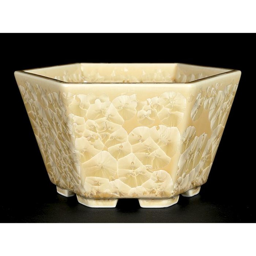 盆栽 Jsan Japanese bonsai pot HEIAN SENZAN Hexagonal shape W13.5cmH8cm