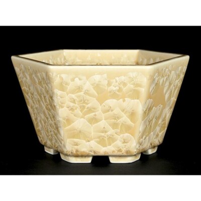 Japanese bonsai pot HEIAN SENZAN Hexagonal shape W13.5cmH8cm