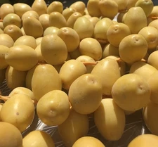 7 LB YELLOW BARHI DATES ... CALIFORNIA FRESH.