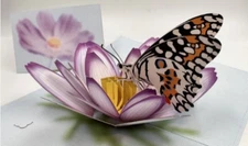 3D Pop Up Butterfly Greeting Card  | Ship Immediately Within US