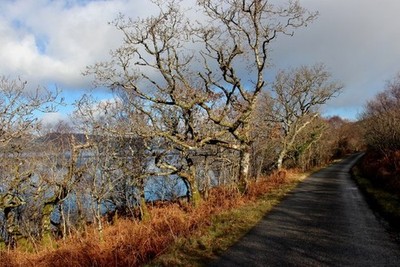 Foto 6x4 B8000 von Loch Fyne Lephinchapel um 2017