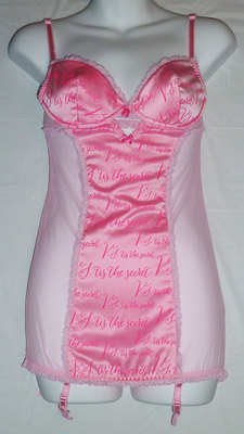 VICTORIA'S SECRET BABYDOLL FASHION SHOW ICE ANGEL PINK SATIN GARTER SLIP 34B NEW