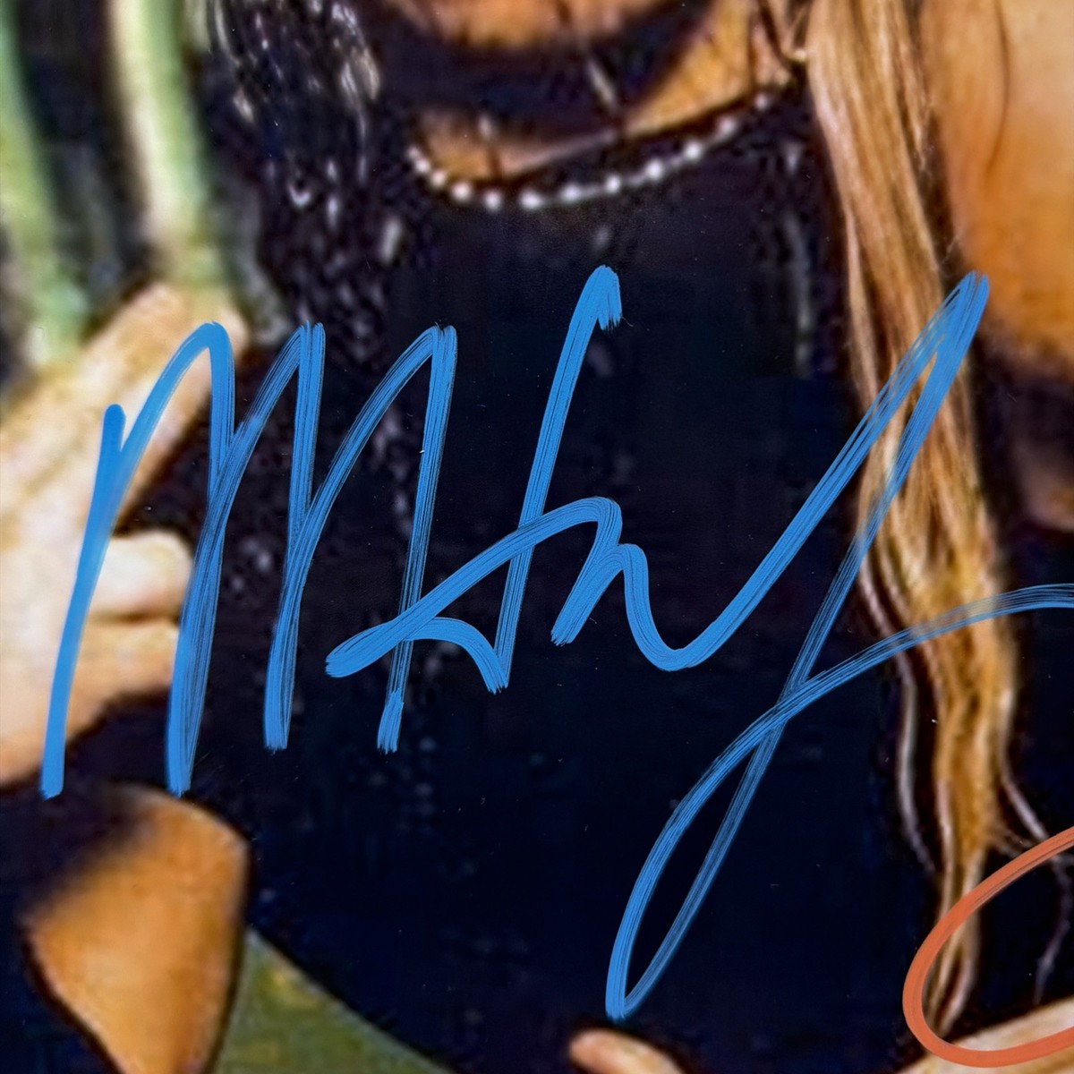 Matt Hardy Jeff Hardy Boyz Autographed WWE WWF 16x20 Photo Signed