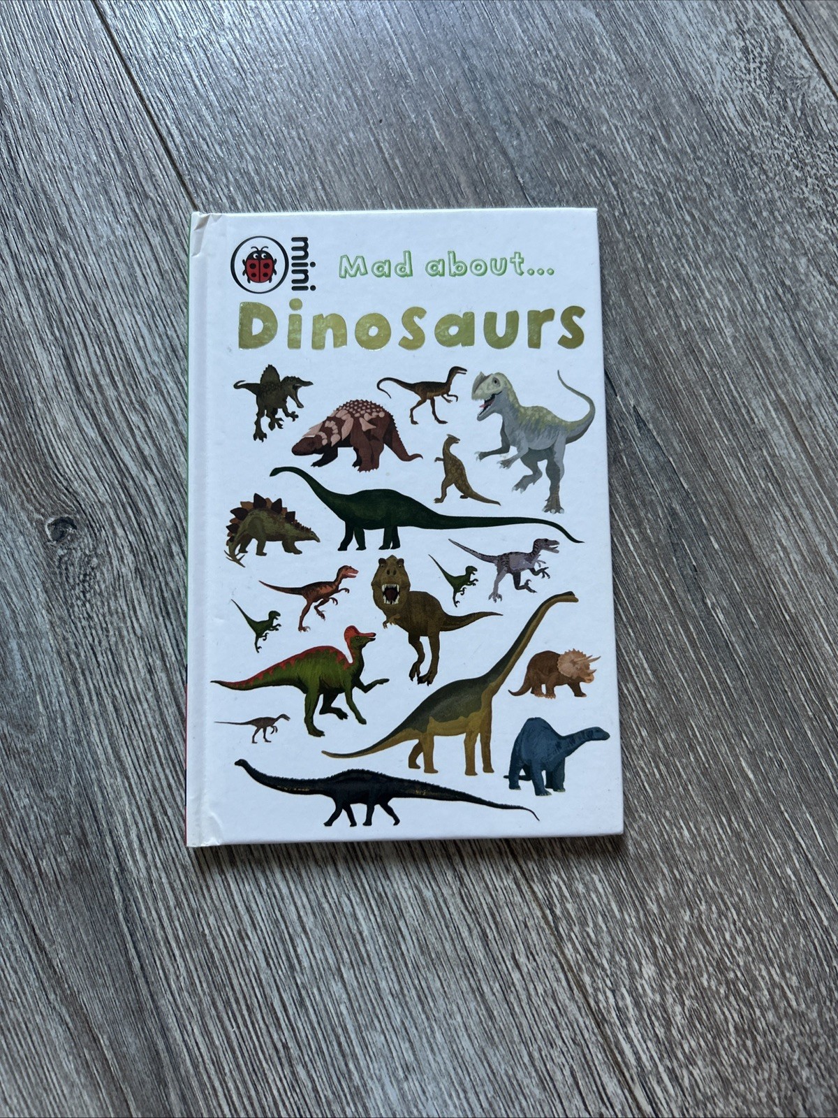 Mad About Dinosaurs (Ladybird Minis) By Ladybird