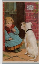 Victorian Trade Card 1880's James Pyle Pearline Trade Card