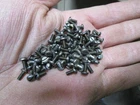 150 NOS Vintage #4-40 X 1/4" Plain Steel Slotted Pan Head Machine Screws USA