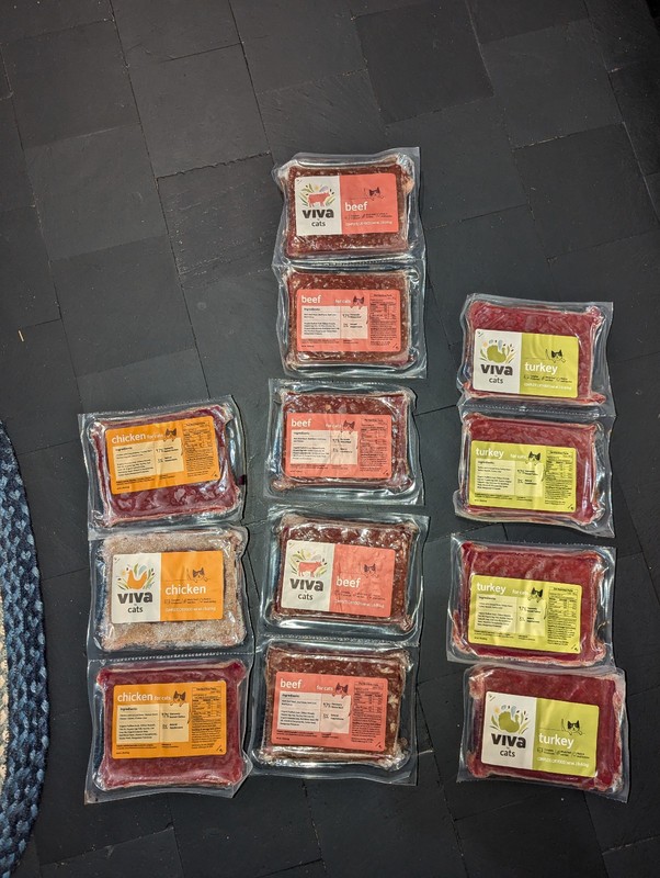 raw cat food, frozen