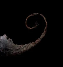 Scald - Vermiculatus CD 2006 digi sludge doom instrumental Code666