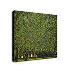 The Park by Gustav Klimt Wall Art - Framed Canvas Wall Art Print