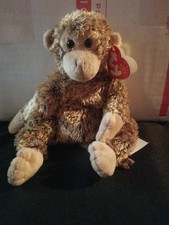 bonsai beanie baby