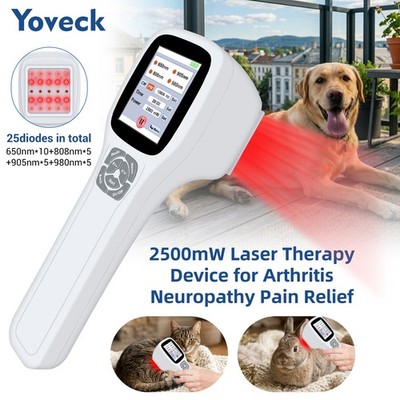 Touchscreen LLLT Cold Laser Therapy Device 2500mW Four Wavelengths Human Therapy