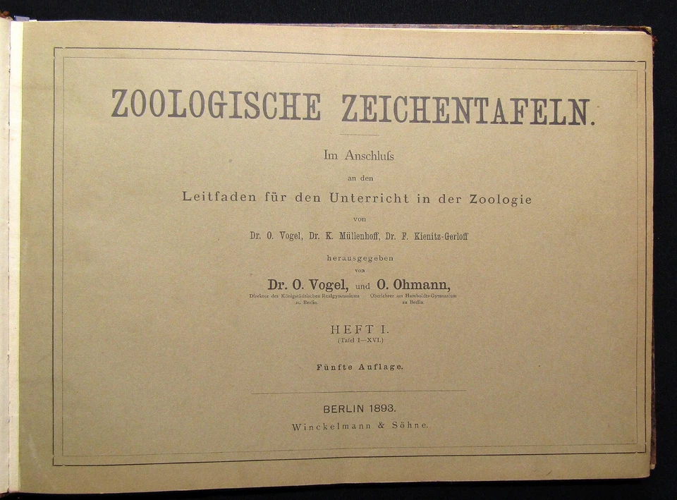 Vogel,Ohmann Zoologische Zeichentafeln 3 Hefte komplett 1892-93 54 Tafeln gesamt - Bild 3 von 4