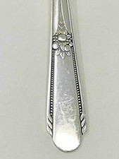 Wm Rogers MEMORY Hiawatha International Silve...