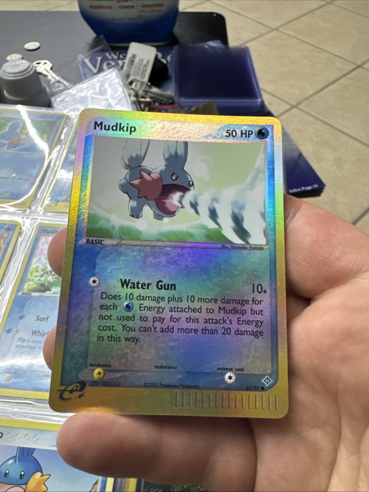 Pokemon Mudkip EX Dragon TCG Reverse Holo Card 65/97 Near Mint