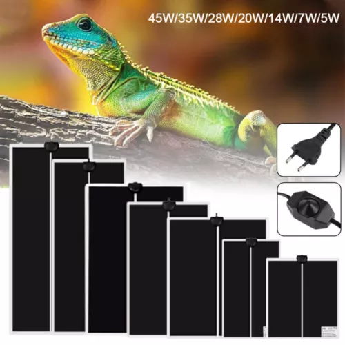 Pet Reptile Terrarium-Heizkissen-Heizmatte Thermostatregler Schnelles Aufheizen - Bild 1 von 19