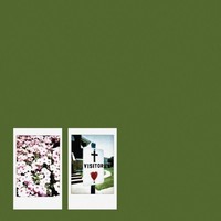 John Moreland: John Moreland: Visitor - Membran Media - (Cd / V)