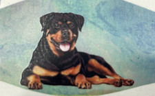 Rottweiler Lover's Face Mask Double Stitch Triple Filter High Quality