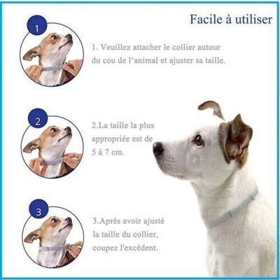 Chiens + 8 kg - Seresto Collier Anti-puces Anti-tiques Original® Avec Boîte - Photo 8/12