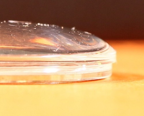 Verre En Plexi Pour Montre - Diamètre 26.8 Mm - Avec Bague (frette) - Marque Robur