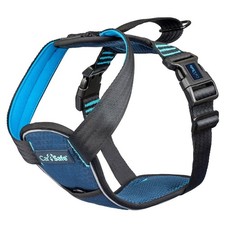 CarSafe Crash Tested Dog Safety Harness Size M Crash Tested to 32Kg/70lbs Safely