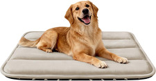 Dog Bed Mat, Reversible Dog Crate Pad with Washable Kennel Mat and Soft Foam, Fl