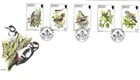 Jersey Comm/FDC -  Jersey Birds of Summer  - 1993 (JES315)