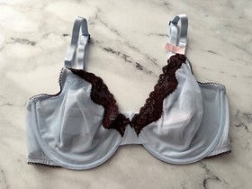 Victoria's Secret Nwt Tease Unlined Demi Bra High Leg Thong Sheer Mesh Blue Set