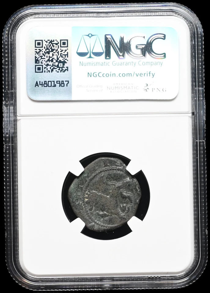 COLONIAL ERA SPAIN. Philip II, 1556-1598. Copper 2 Maravedis, NGC F15 BN - Image 4 of 4