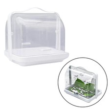 Seidenrauder Brood Box Habitat Cage Breathable Pet Deliveries Easy to Observe