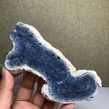 132mm Natural Blue Coral Reef Cluster Marine Mineral Crystal Specimen 146g A1694