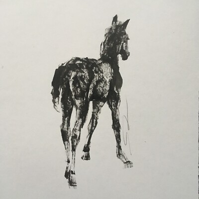Original signierte Tuschestudie Skizze Gemälde eines Pferdes Fohlen Pony ca. A4