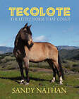 Tecolote: The Little Horse That Could by Sandy Nathan (Paperback / softback, 2011)