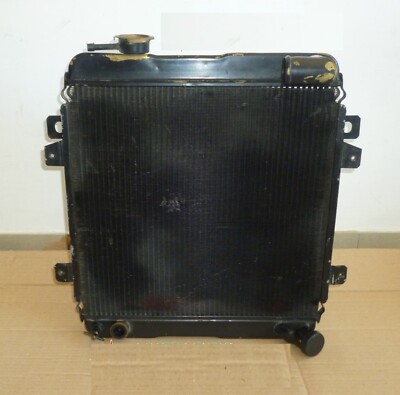 IRON RADIATOR Fiat 124 SPECIAL T 3 OUTPUTS RADIANT MASS 38X35