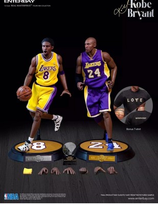 enterbay derrick rose