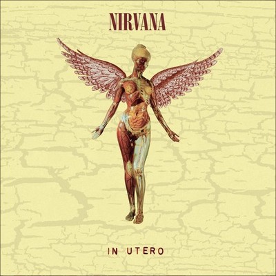 Nirvana: In Utero (30th Anniversary) (remastered) (180g) (Super Deluxe Edition)
