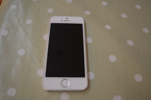 Apple iPhone 5s (FACTORY RESET)